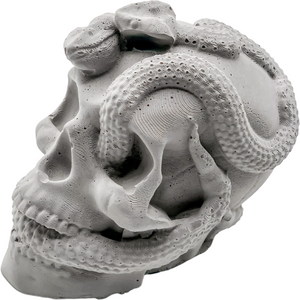 Skull and Snake sculpture
